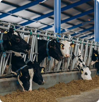 Farm Owned, Not Sourced